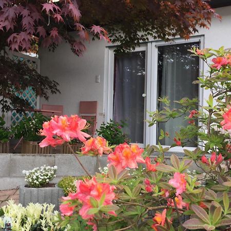 Apartament Haus Magnolia 2 Kandern Zewnętrze zdjęcie