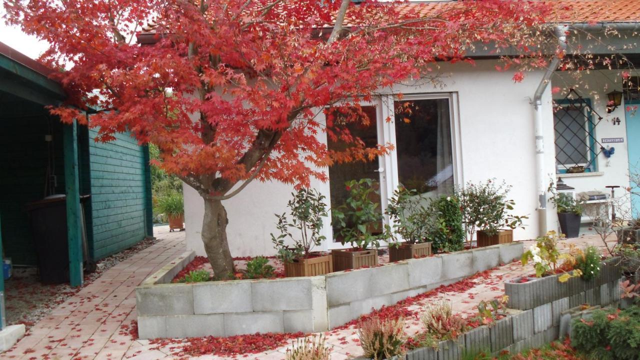 Apartament Haus Magnolia 2 Kandern Zewnętrze zdjęcie
