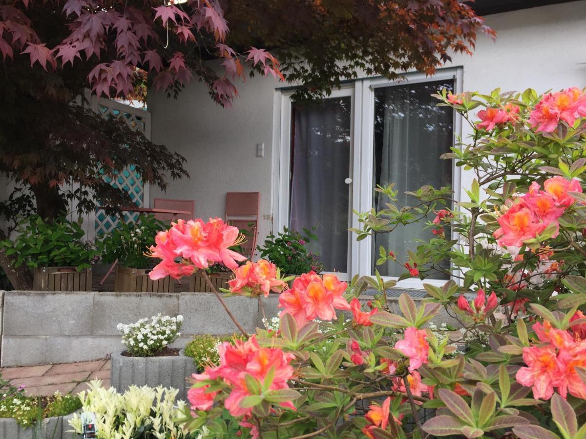 Apartament Haus Magnolia 2 Kandern Zewnętrze zdjęcie